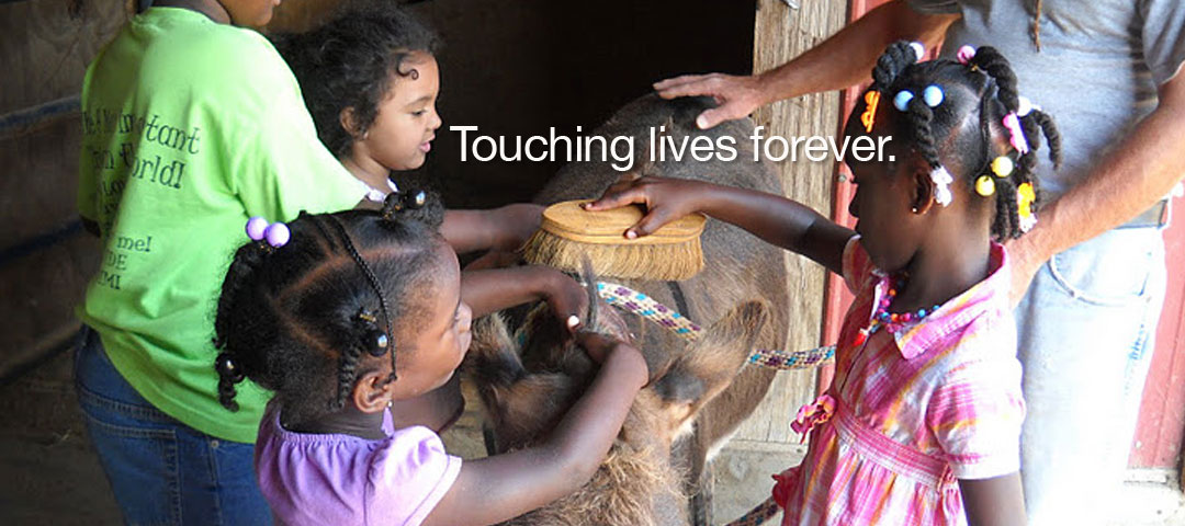Touching lives forever Touching lives forever - Lazy B's Ranch Program