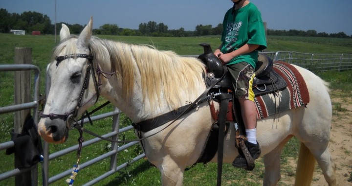 Horse Back Riding