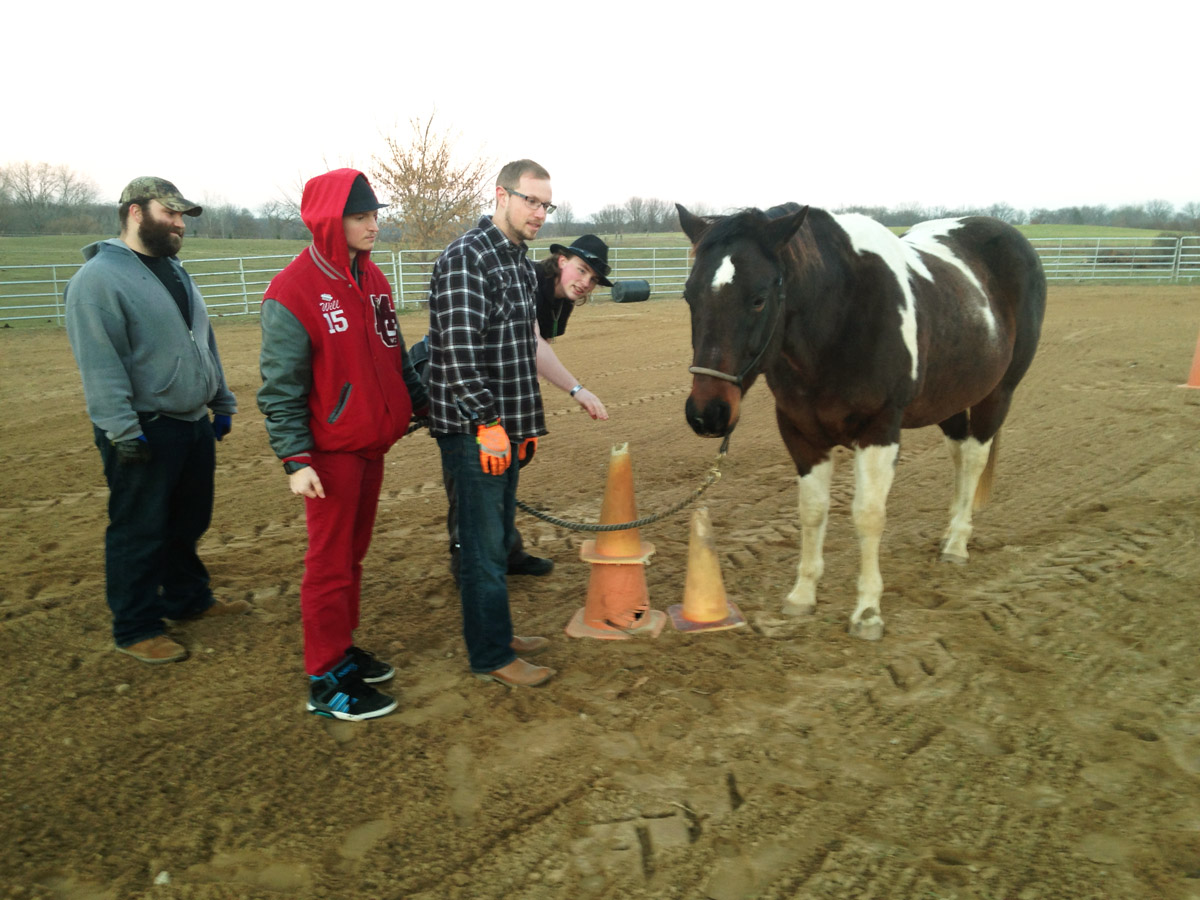 Lazy-b-herd-program - Lazy B's Ranch